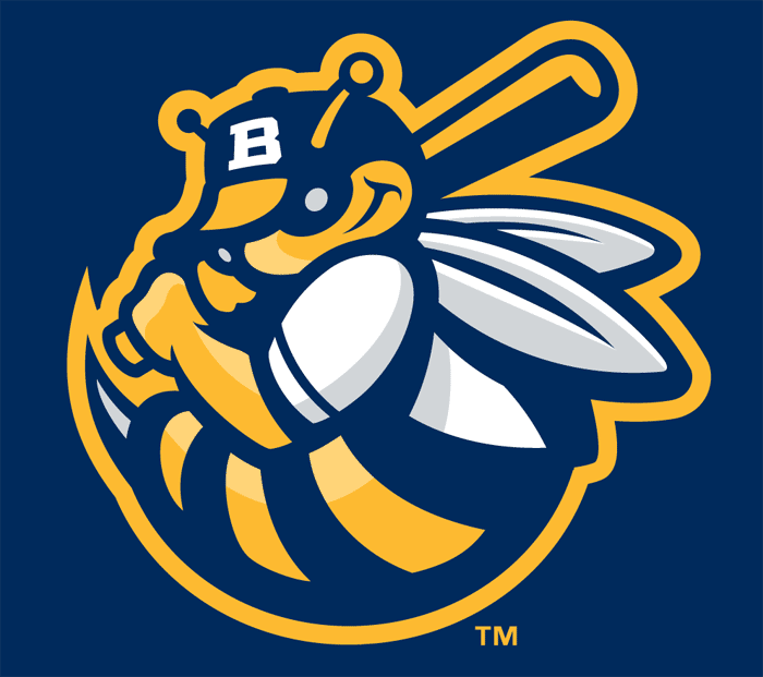 Burlington Bees 2007-Pres Cap Logo v2 iron on heat transfer